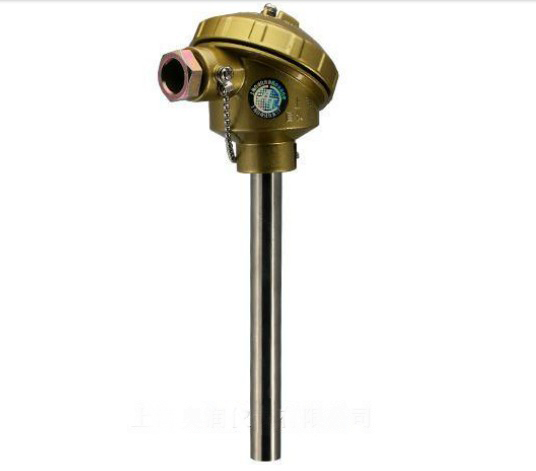 WRN-121裝配式熱電偶