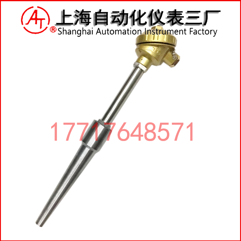 WRE2-621雙支熱電偶