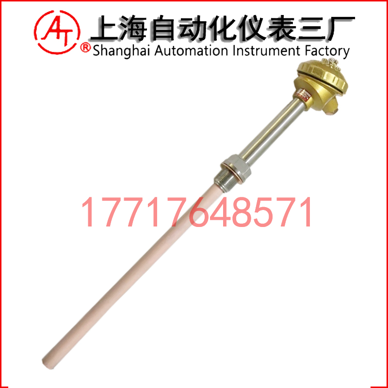 WRR2-220雙支鉑銠熱電偶